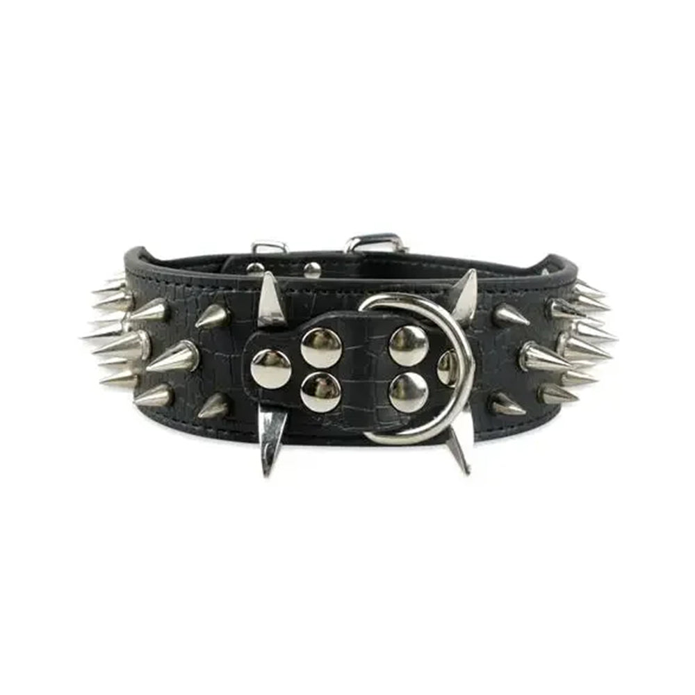 2" Wide & Sharp Studded Spike Collar