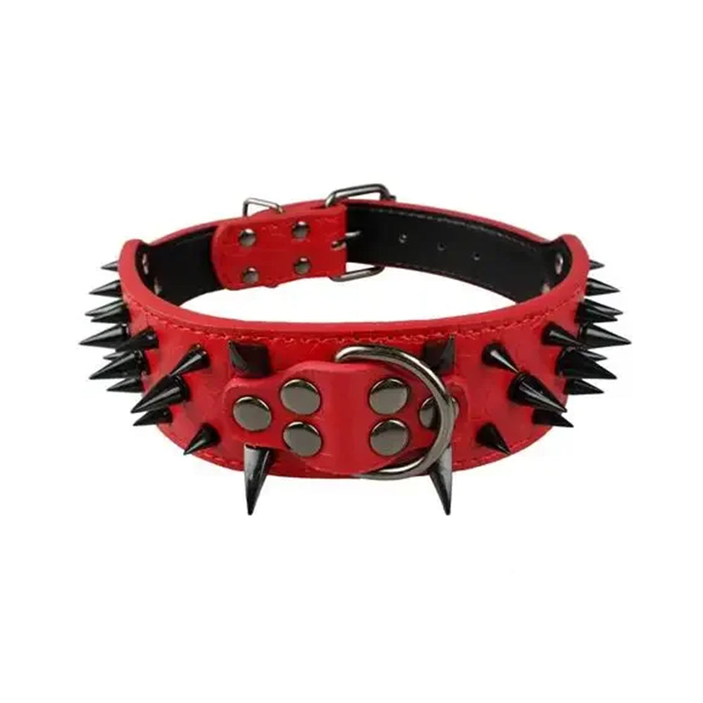 2" Wide & Sharp Studded Spike Collar