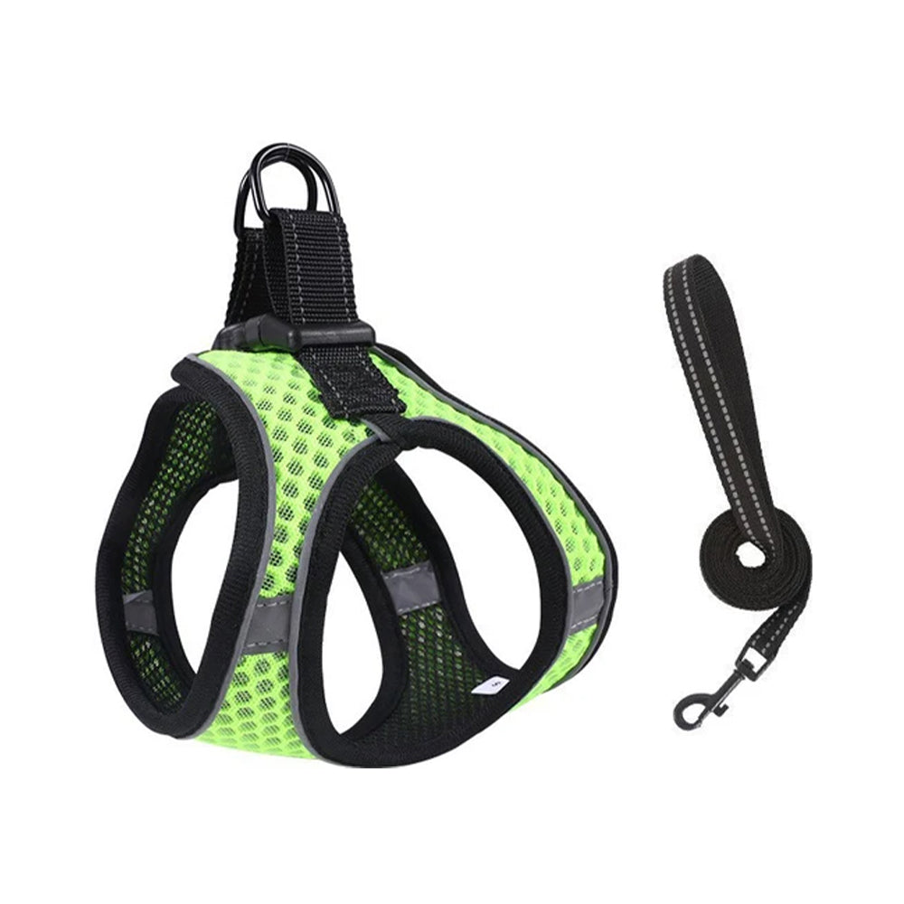 Nylon Summer Pets Mesh Harness With Leash