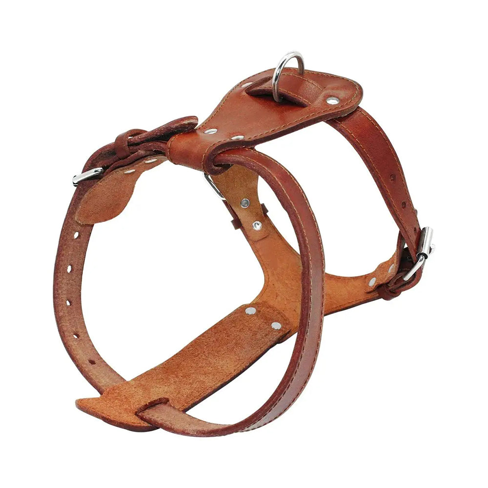 Heavy Duty Pet Leather Harness