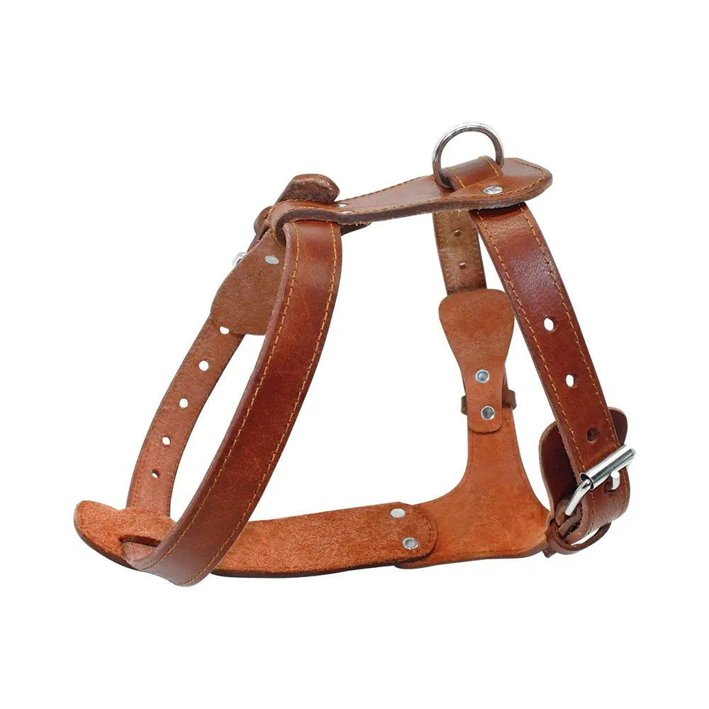 Heavy Duty Pet Leather Harness