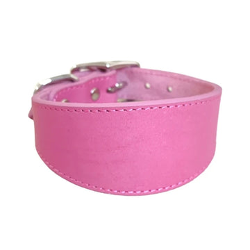 Wide Padded Genuine Leather Pet Collar