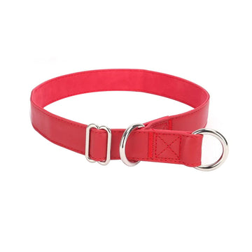 Adjustable Slip Buckle Leather Pet Collar