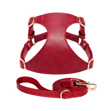 Adjustable Walking Pet Leather Harness With Leash