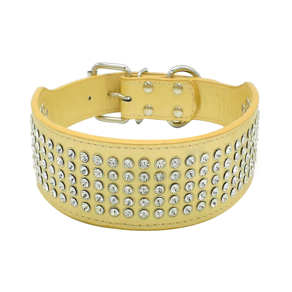 Pitbull Heavy Studded Rhinestone Collar