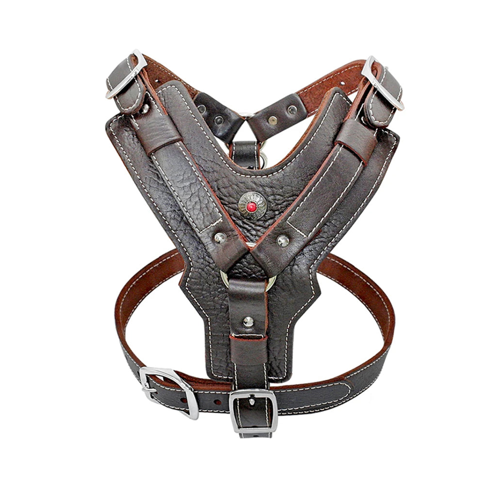 Vintage Style Adjustable Strap Leather Harness