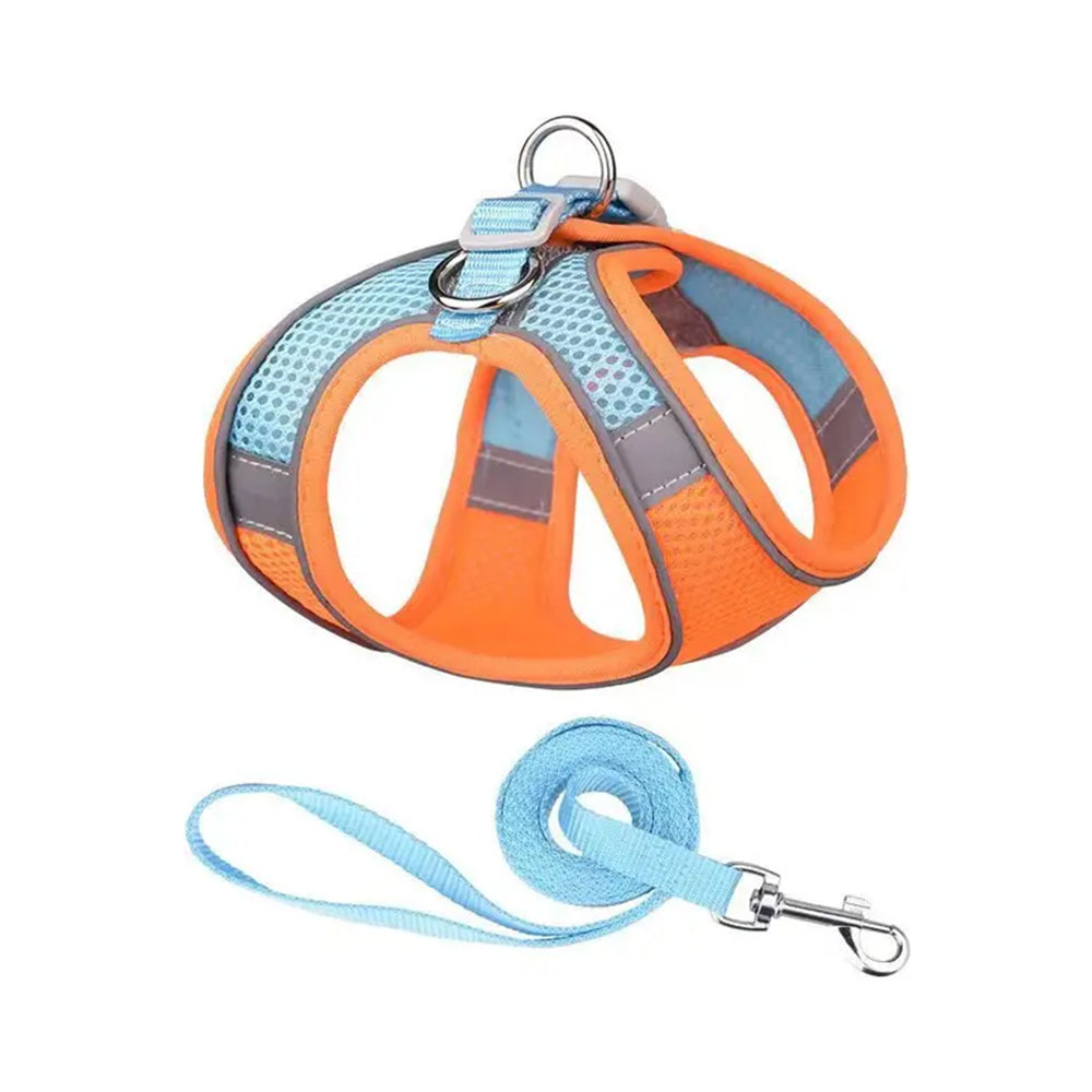 Outdoor Walking Soft Pet Mesh Harness With Leash