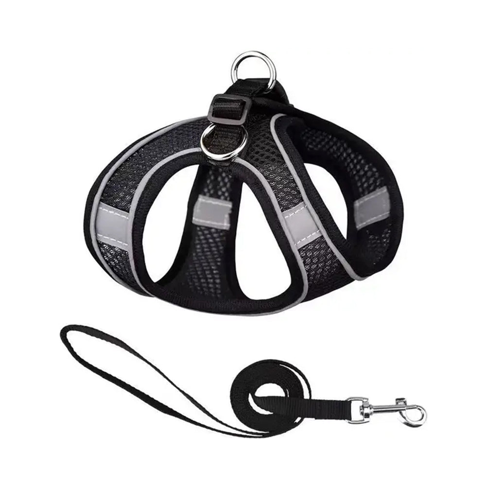 Outdoor Walking Soft Pet Mesh Harness With Leash