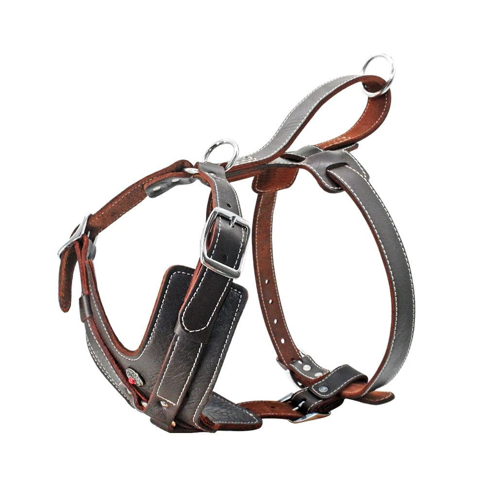 Vintage Style Adjustable Strap Leather Harness