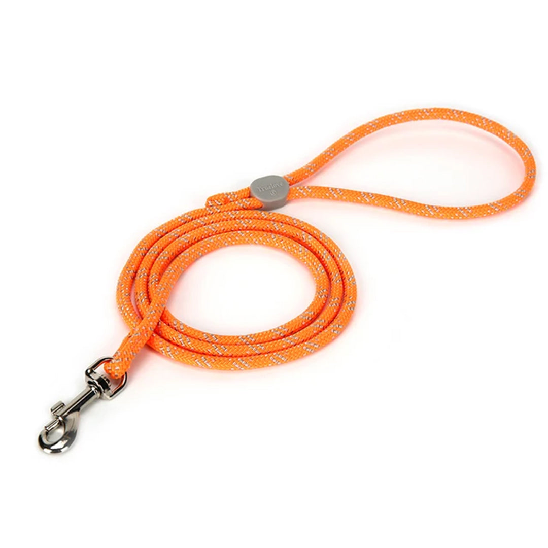 Lightweight Adjustable Pet Nylon Leash