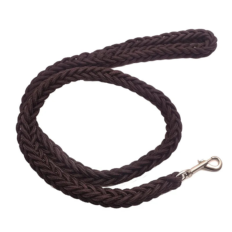 Heavy Duty Pet Nylon Leash