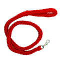 Heavy Duty Pet Nylon Leash