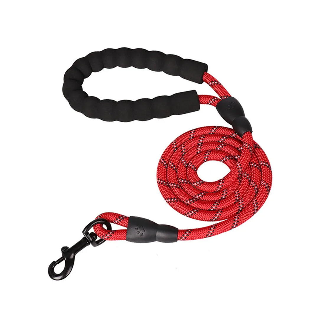 Durable & Stylish Top Quality Nylon Leash